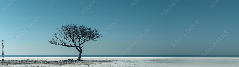 Solitary Tree on a Deserted Shore Solitary Tree on a Deserted Shore