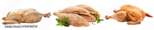 Collection of PNG. Raw Chicken Isolated on A Transparent Background.