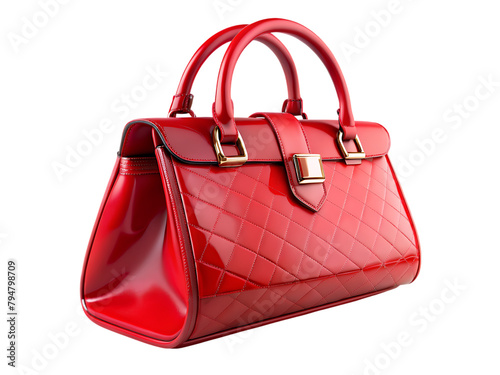 ladies handbag purse