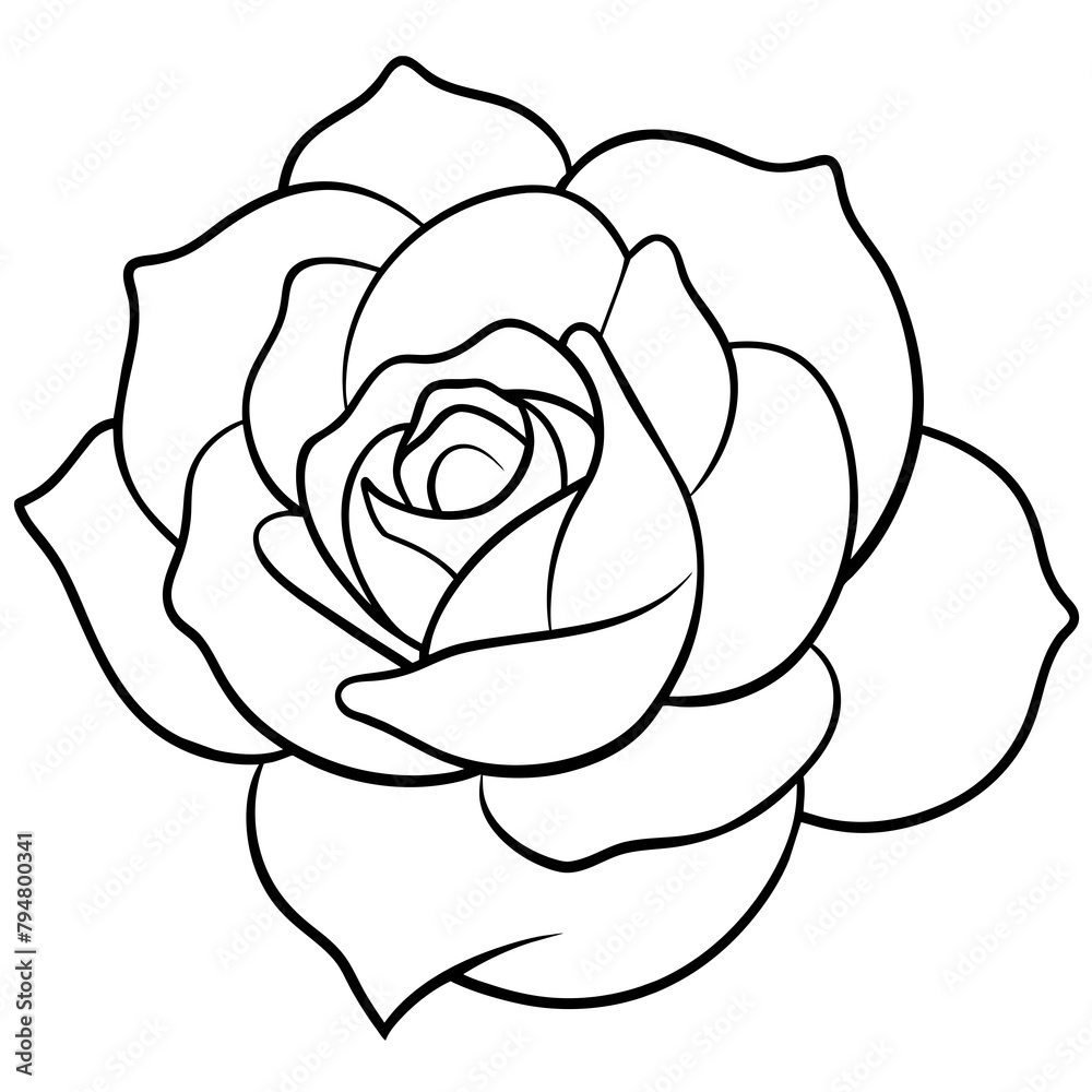 flower-line-art-vector