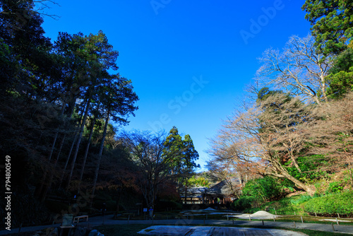                                      The courtyard with beautiful autumn leaves in full bloom.                                         2021   12   19                                                                                                                           In Kamakura City  Kanagawa Prefecture  Japan. Photographed o