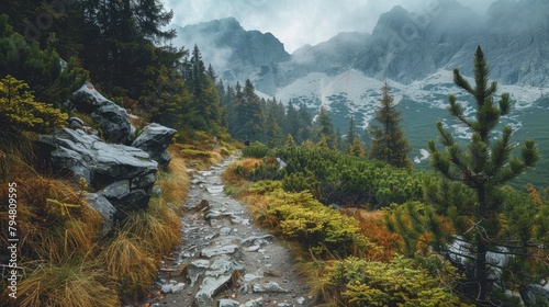 The beautiful pathway in the High Tatras