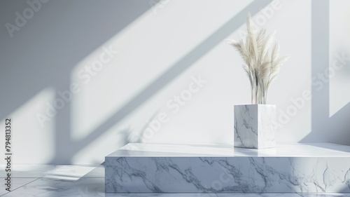 Minimalist interior with pampas grass in marble vase casting shadows on white wall