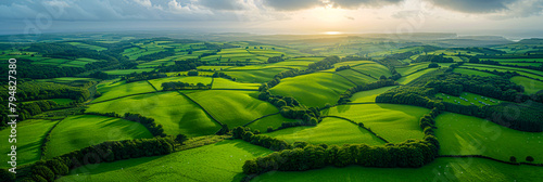 Green Hills and Fields in Summer, Scenic Agricultural Landscape, Rural Countryside View