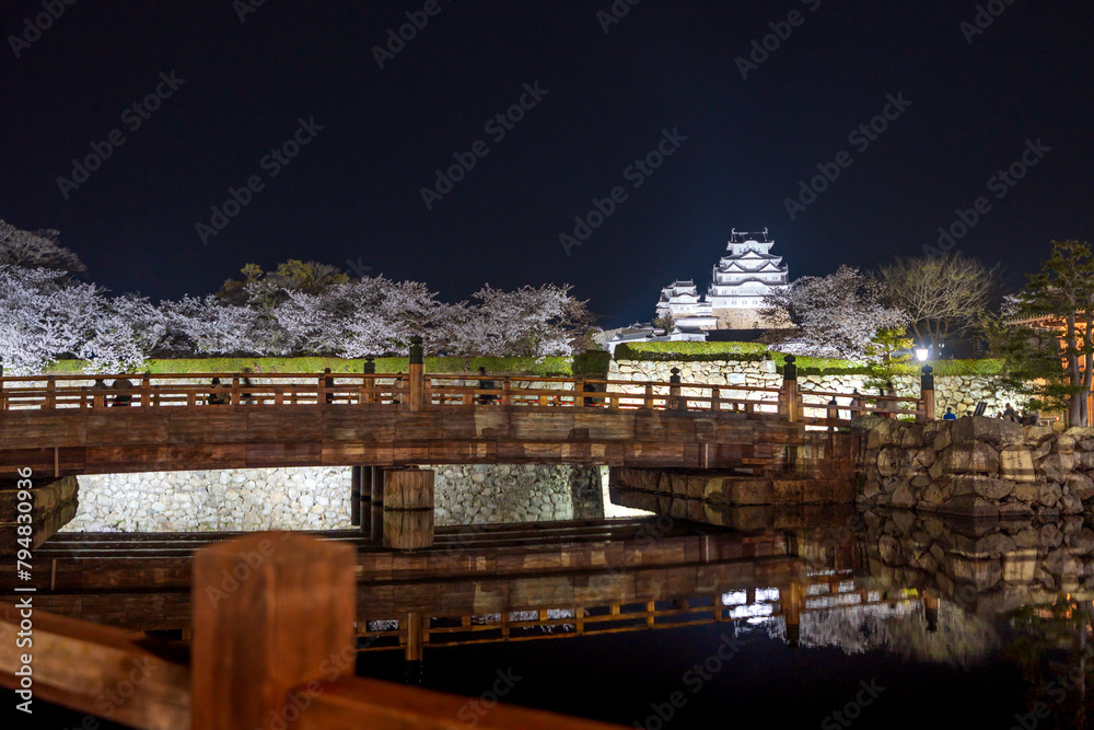 Himeji Castle lit up at night with cherry blossoms full bloom in the spring. Hyogo, Japan. Himeji Castle lit up at night with cherry blossoms full bloom in the spring. Hyogo, Japan.