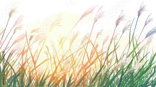 Wild feather grass in the field at sunset. Plants swa photo