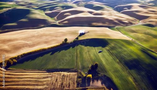 'Palouse hills rolling Aerial harvest Pattern Gold Agriculture Wheat Field Yellow Grain Farming Crop Washington state Amber Cropland Palouse Colfax Farm scene Nobody Usa Vibrant View from above Warm' photo