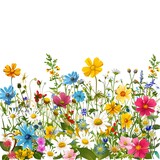 blooming flowers border in various colors, spring clipart, white background