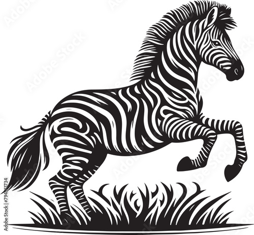 zebra illustration