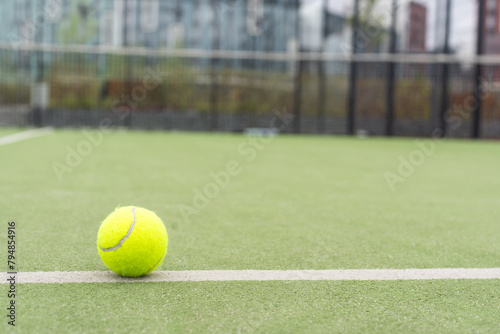 a picture of a tennis ball on the court