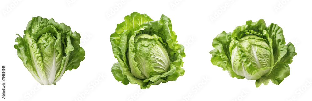 fresh green cabbages isolated on transparent background fresh green cabbages isolated on transparent background