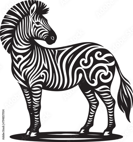 zebra illustration