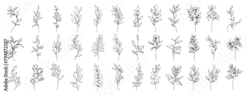 Set of Botanical Line Art Floral Drawings, Flowers, Leaves, Plants. One Line Floral Art Collection for Trendy Minimalistic Design. Hand Drawn Sketch Plants Branches. Vector Illustration