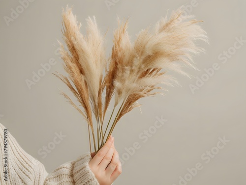 A person's hand holding stems of pampas grass against a light grey background.