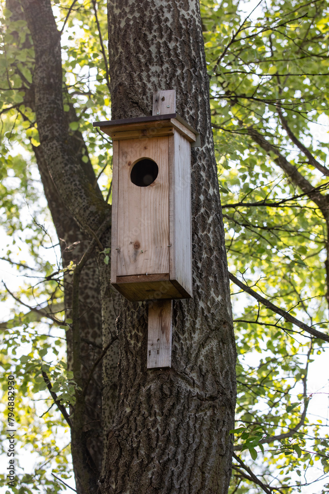Wooden tree house for an owl in the forest. Birdhouse