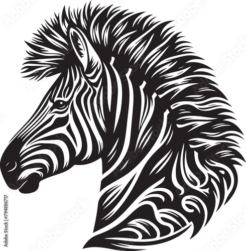 zebra illustration