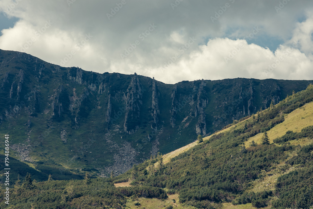 Summer day in the mountains. Mount Shpytsi, Chornohora, Carpathian Mountains