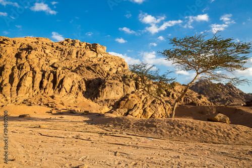 View of desert mountain landscape