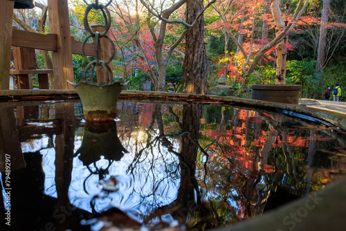 境内の薬師殿前には多くの蹲がある。
秋には紅葉が映り込みとても美しい。
二階堂にある覚園寺。
鎌倉時代1218年創建。
境内は国の史跡に指定され、境内奥の谷戸には多くの仏像、塔があり、日本国の重要文化財となっている。

日本国神奈川県鎌倉市にて。
2021年12月19日撮影。
There are many stone wash basins in front of the Yakushi-Den  photo