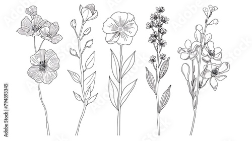 One line drawing flower bouquets. Hand drawn floral romantic arrangements with different flowers, botanical sketch collection. Generative Ai