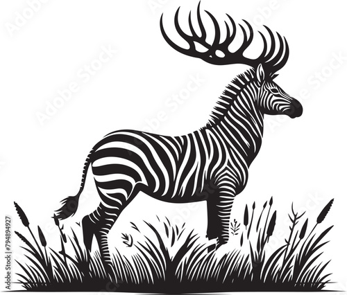 zebra illustration