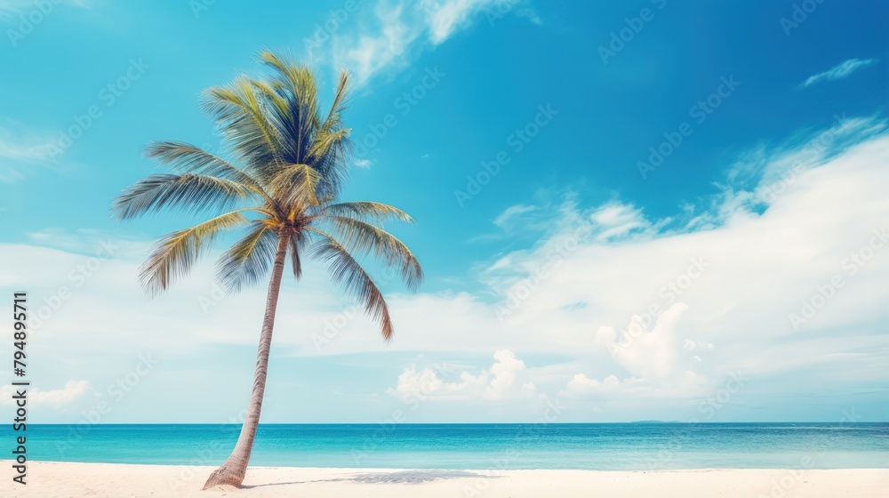 Palm tree on tropical beach with blue sky