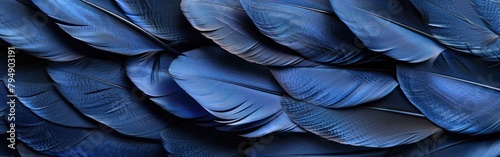 Detailed view of navy blue bird feathers  highlighting the intricate patterns and textures