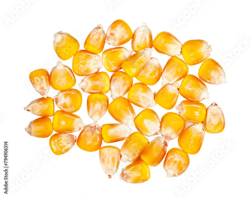 Corn isolated on a white background, top view.