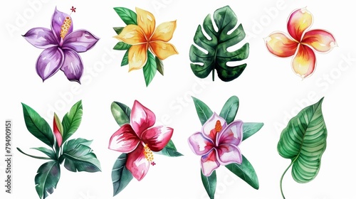 Set of Watercolor Tropical Spring Flowers and Lush Green Leaves on White - Graphic Design, Wedding Invitations.