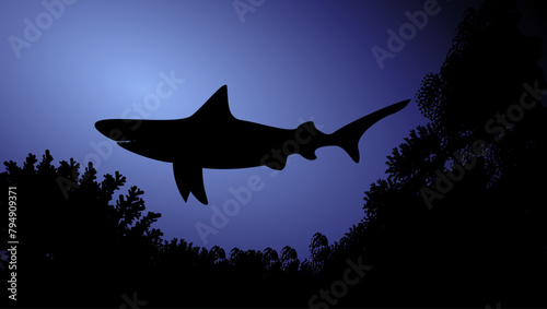 shark in the ocean, flat color illustration