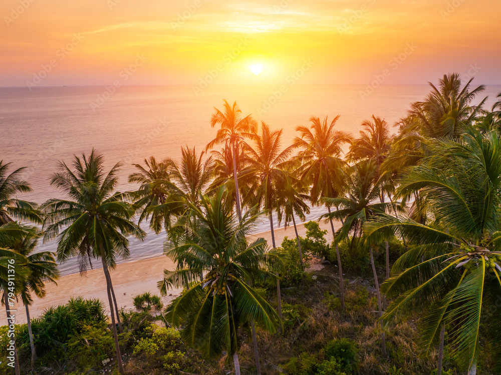 Tropical Beach. Sandy beach with palm and turquoise sea. Summer vacation and tropical beach concept.