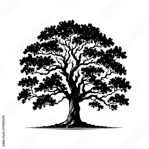  Vector Silhouette of Oak Tree- Capturing the Majestic Presence and Timeless Beauty of Nature.- Oak Tree Illustration- Oak Tree Vector
