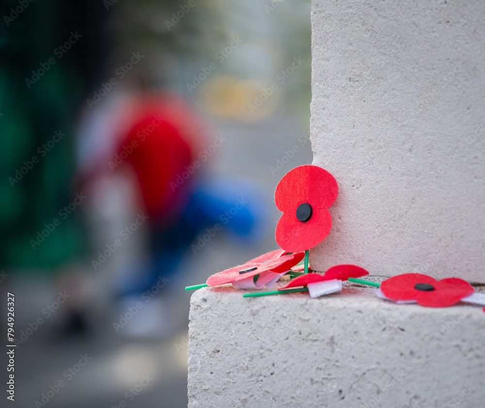 Red poppies on a wall. Unrecognizable people in the background. Anzac Day commemoration. Auckland. New Zealand. - obrazy, fototapety, plakaty 