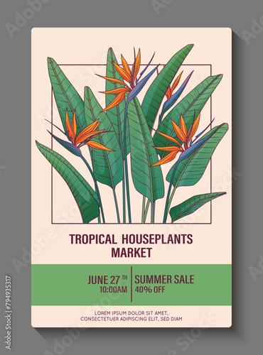 Poster design for flower market. Vector illustration of strelitzia plant. Paradise plant. Flower shop, home garden concept. Bird of paradise.