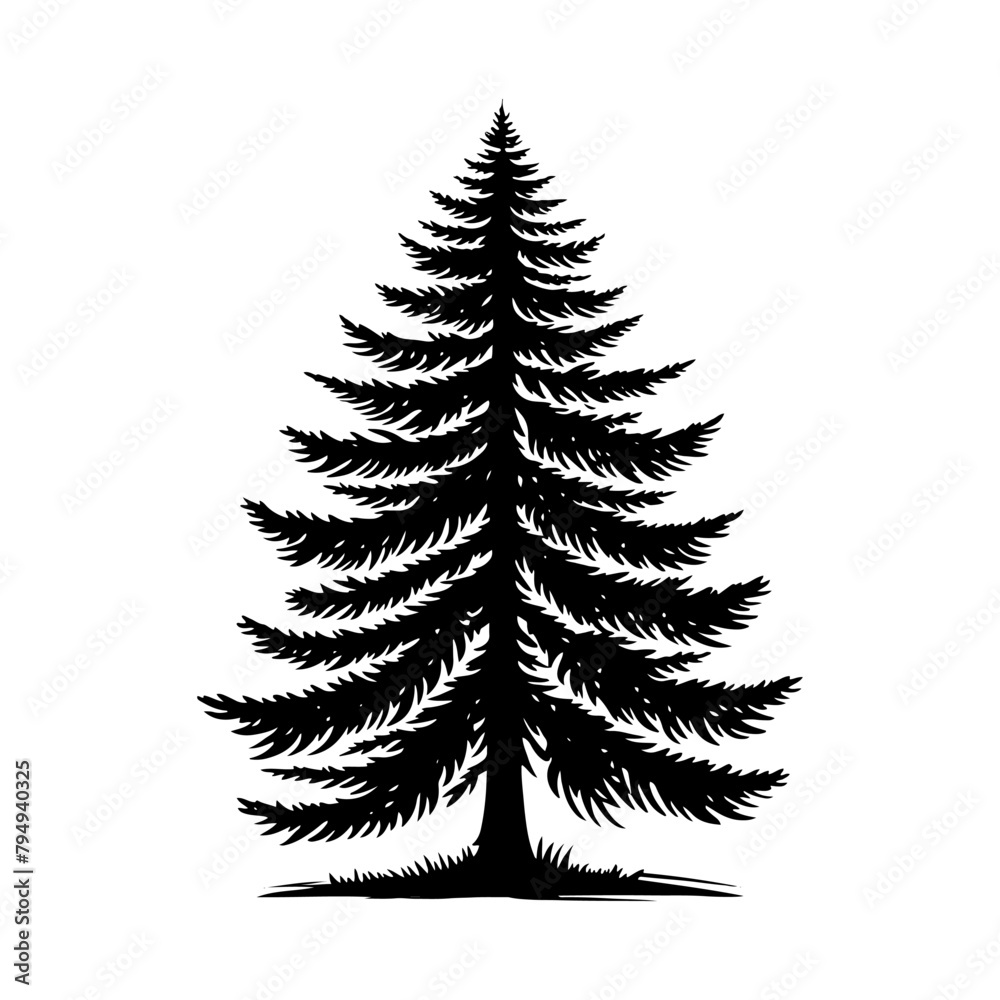 Fototapeta premium Pine Tree Vector Silhouette- Echoing the Serene Presence of Nature's Towering Evergreen- Pine tree Illustration. 