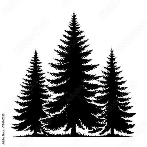 Pine Tree Vector Silhouette- Echoing the Serene Presence of Nature's Towering Evergreen- Pine tree Illustration.
