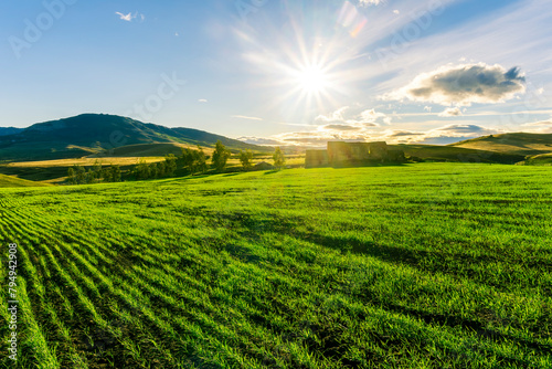 Scenic view at beautiful spring sunset in a green shiny field with green grass and golden sun rays  deep blue cloudy sky on a background   forest and country road  summer valley landscape