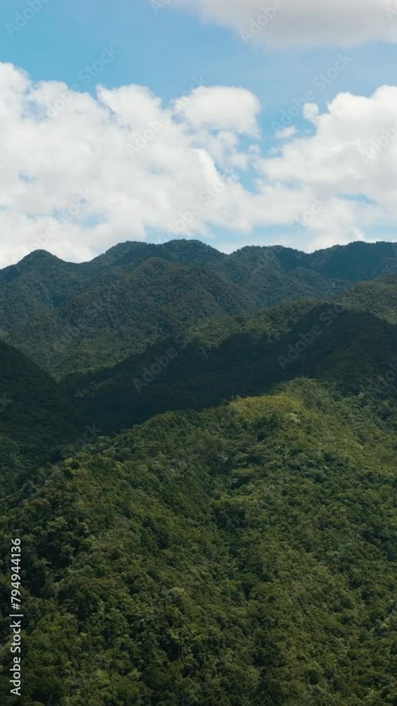 Mountains and hills with green vegetation and trees in the tropics. Negros, Philippines Mountains and hills with green vegetation and trees in the tropics. Negros, Philippines