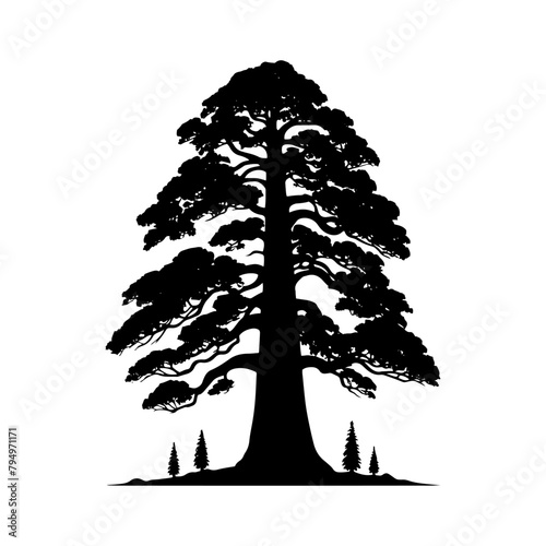 Sequoia Vector Silhouette- Depicting the Grandeur of Nature's Towering Sequoia Trees- Sequoia Tree Illustration.