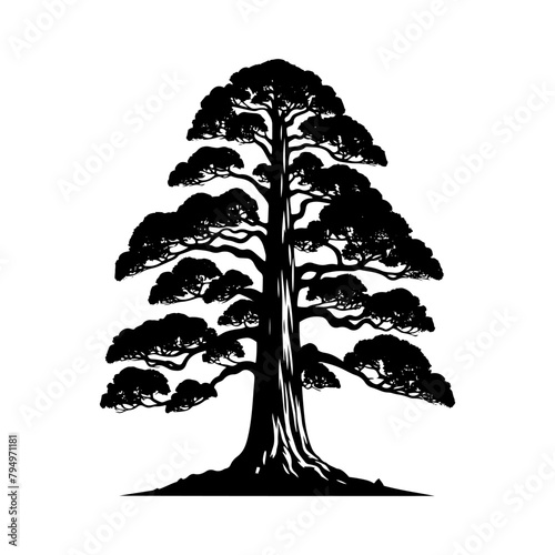 Sequoia Vector Silhouette- Depicting the Grandeur of Nature's Towering Sequoia Trees- Sequoia Tree Illustration.