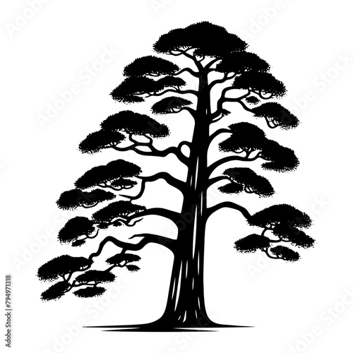 Sequoia Vector Silhouette- Depicting the Grandeur of Nature's Towering Sequoia Trees- Sequoia Tree Illustration.