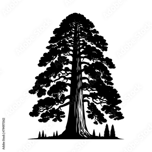 Sequoia Vector Silhouette- Depicting the Grandeur of Nature's Towering Sequoia Trees- Sequoia Tree Illustration.