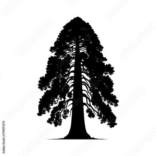 Sequoia Vector Silhouette- Depicting the Grandeur of Nature's Towering Sequoia Trees- Sequoia Tree Illustration.