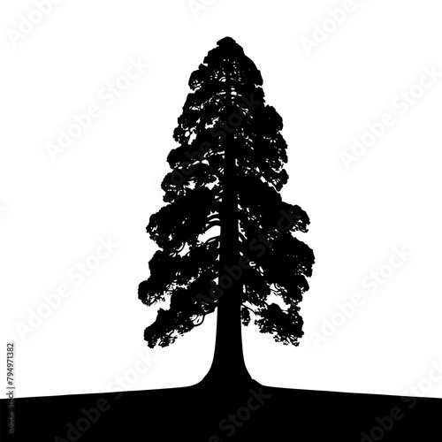Sequoia Vector Silhouette- Depicting the Grandeur of Nature's Towering Sequoia Trees- Sequoia Tree Illustration.