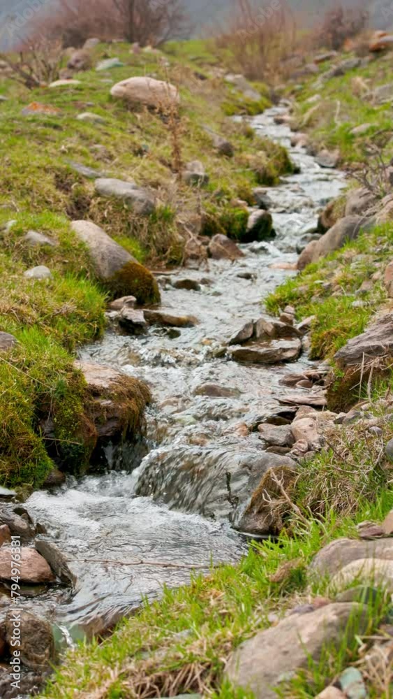 small mountain creek running down toward a camera between round rocks at summer day time, closeup with selective focus