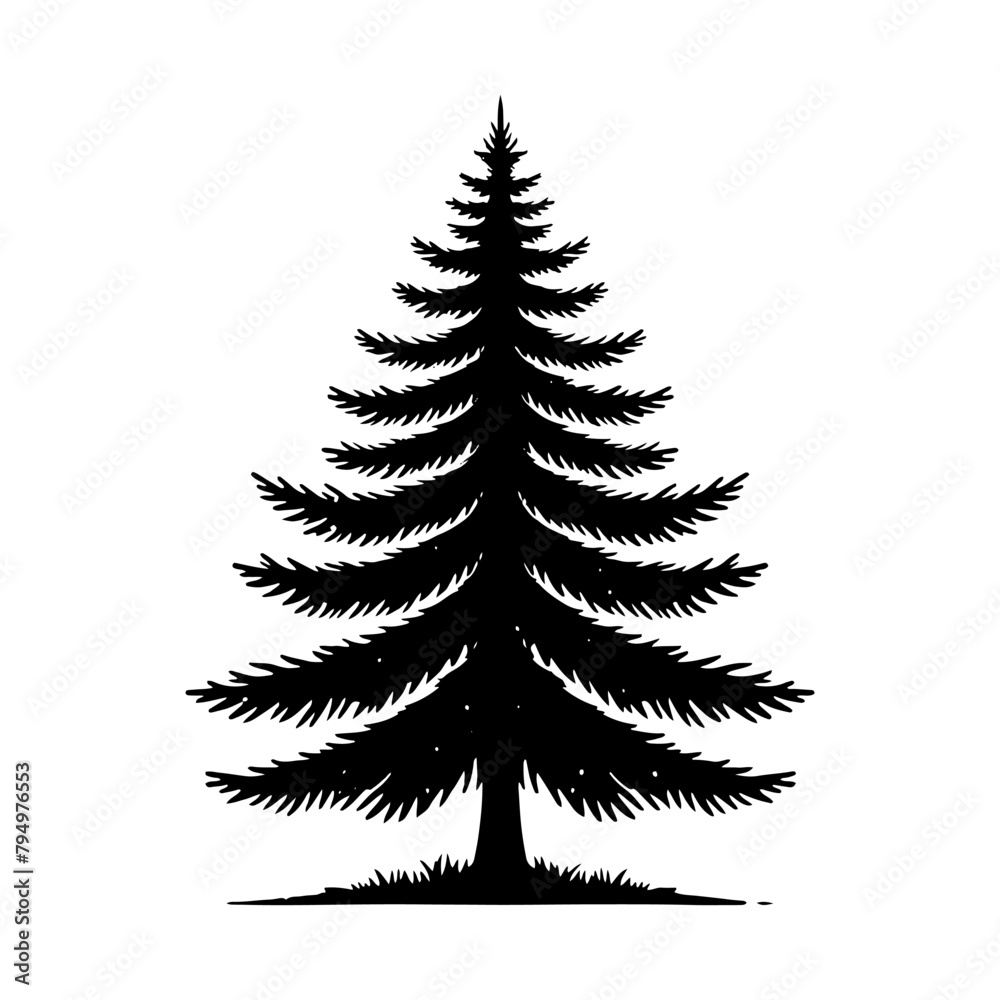 Obraz premium Spruce Tree Vector Silhouette Showcasing the Timeless Beauty- Spruce Tree Illustration- Minimalist Spruce Tree vector.