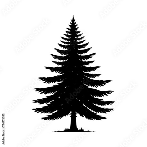 Spruce Tree Vector Silhouette Showcasing the Timeless Beauty- Spruce Tree Illustration- Minimalist Spruce Tree vector.