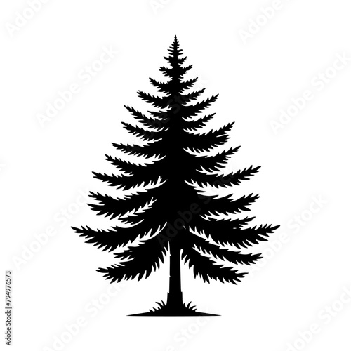 Spruce Tree Vector Silhouette Showcasing the Timeless Beauty- Spruce Tree Illustration- Minimalist Spruce Tree vector.