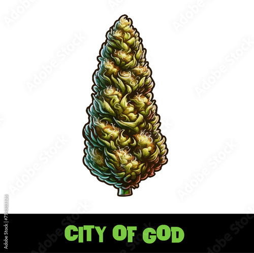 Vector Illustrated City of God Cannabis Bud Strain Cartoon (ID: 794983326)