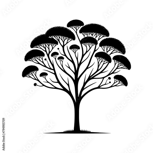  Sycamore Tree Vector silhouette- Portraying the Graceful Presence of Sycamore Tree- Illustration of Sycamore Tree- Sycamore tree portrait.